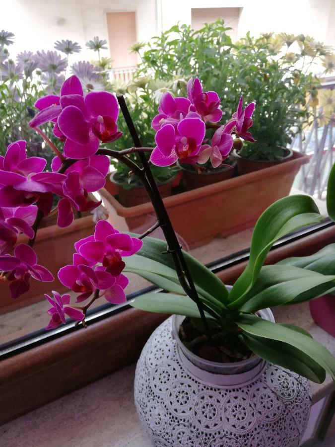 Bed & Breakfast Casa Namaste *